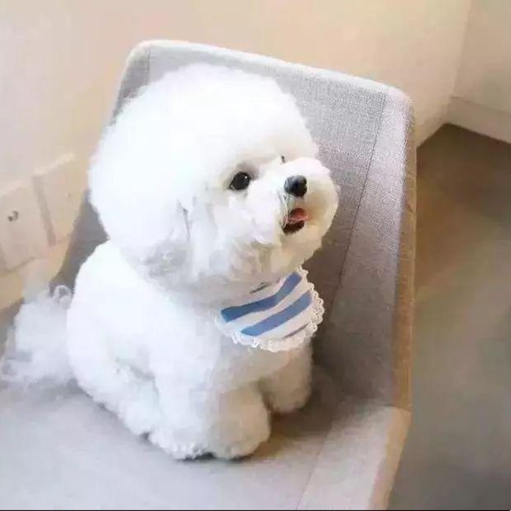 Meet your Posher, Kevin